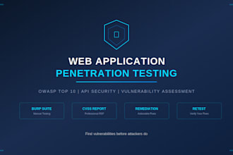 do web application penetration testing and security audit
