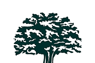 give creative tree logo design with new concepts