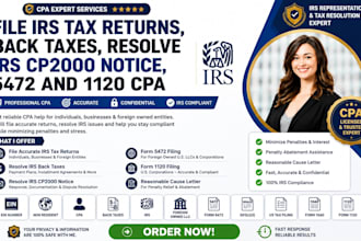 file irs tax returns,back taxes,resolve irs cp2000 notice,5472 and 1120 CPA