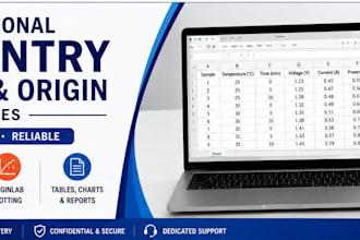data entry ms word formatting and originlab plotting