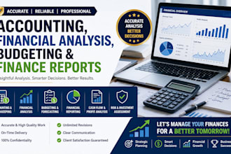 do accounting, financial analysis, budgeting and finance reports