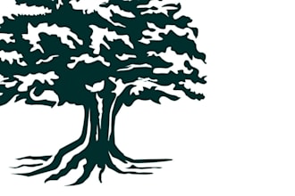 do professional tree logo design