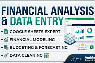 do expert financial analysis and data entry in google sheet