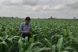 agricultural data entry and excel processing