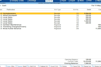 do professional tally accounting, gst filing and sap sd billing