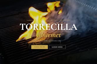 professional landing page design for your business