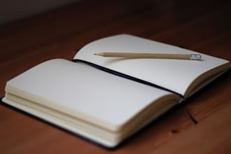 edit your writing and provide feedback