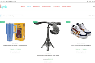 provide web development and SEO solutions