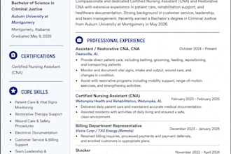 create a job winning professional resume
