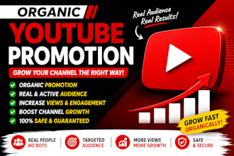 do organic youtube video promotion and channel growth