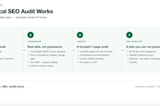 write a personalized local SEO audit for your business in 12 hours