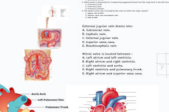 help you understand anatomy