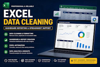 do excel data cleaning reporting and dashboard support