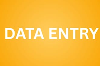 do data entry work 24 7