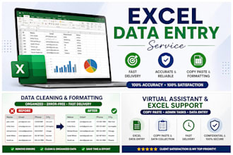 do excel data entry and formatting
