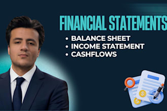 prepare income statements, balance sheets and cash flow reports