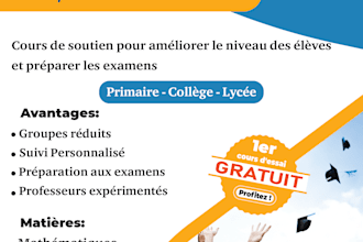 design professional advertising flyers and social media ads