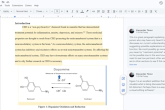help with research and writing