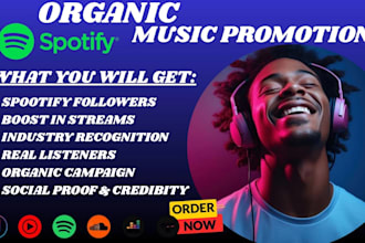 increase spotify followers, spotify stream, monthly listeners, spotify promotion