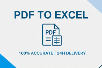 provide manual PDF to excel conversion service