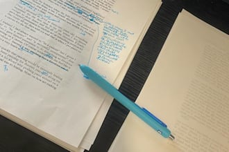 review you reports, essays, assignements