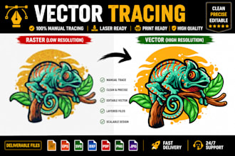 do manual vector tracing and logo redraw