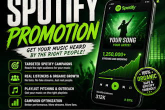 setup spotify campaign spotify promotion music promotion for spotify track