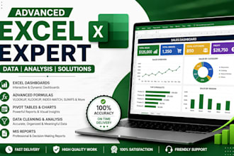 do advanced excel work, dashboards and data analysis