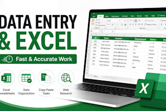do data entry, excel and copy paste tasks