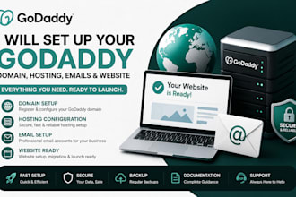 set up and manage your godaddy domain professionally