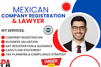 do contador publico business valuation report under nif and ifrs standard in mx