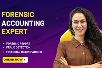 investigate fraud, trace suspicious financial transactions, forensic audits