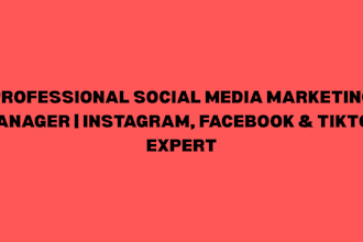 manage a results driven digital marketing strategy to grow your business