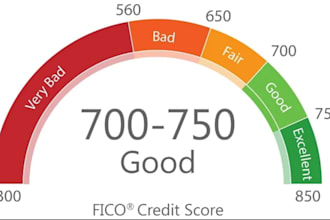 credit repair, inquiry removal, late payment, charge offs, remove inquires,score