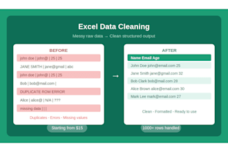 excel data cleaning, formatting, validation, and invoice data entry