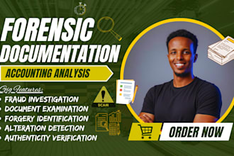 do forensic accounting, fraud investigation, document analysis and data recovery