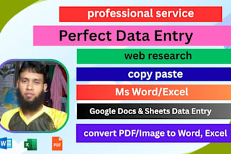 do fastest data entry, web research and copy paste job