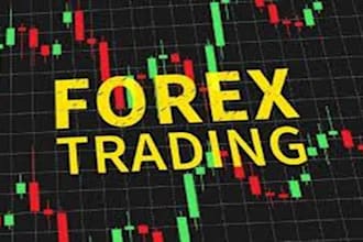 develop a custom ctrader trading bot from your strategy