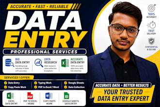 do professional data entry and excel spreadsheet work