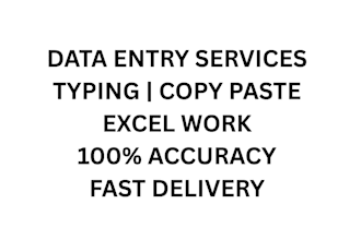 do fast data entry, typing, copy paste and excel work