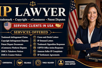 ip lawyer for trademark, copyright, ecommerce, and patent disputes