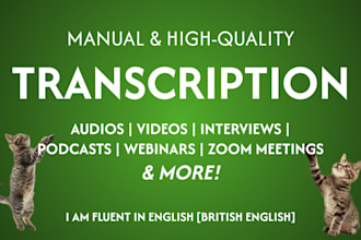 transcribe any audio or video