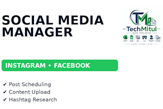 be your social media manager for instagram and facebook