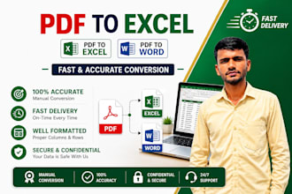 convert PDF to excel or word manually with accuracy