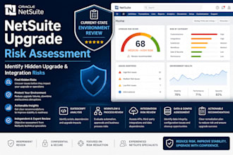 assess netsuite upgrade risks and current state issues