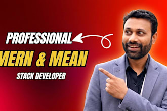 develop a custom mern,mean web portal