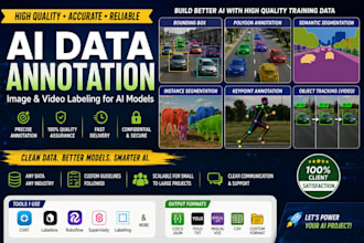 provide accurate ai images and video annotation services