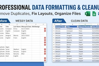 design custom excel spreadsheets and format data professionally