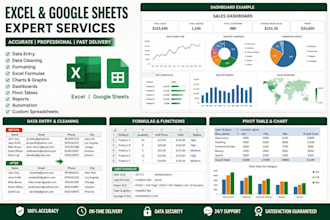 excel data entry, formatting, and cleanup