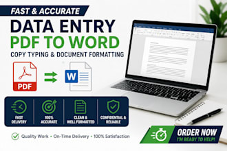 do accuarte data entry and PDF to word conversion